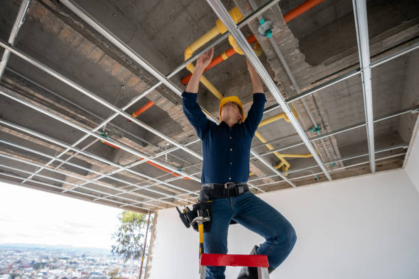 Best Toilet Repair Services  in Muleshoe, TX